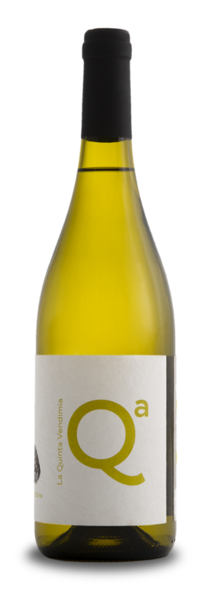 Botella de blanco logotipo